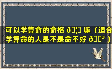 可以学算命的命格 🦊 嘛（适合学算命的人是不是命不好 🌳 ）